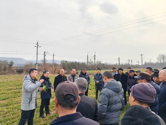 圖示, 示意圖 中度可信度描述已自動生成:ver1