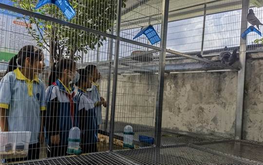 圖示, 示意圖

中度可信度描述已自動生成:ver1