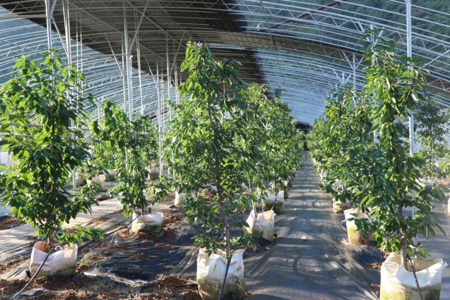 煥新“農(nóng)家院” 開拓“新賽道”——寶雞市渭濱區(qū)推動鄉(xiāng)村文旅融合發(fā)展 煥新“農(nóng)家院” 開拓“新賽道”——寶雞市渭濱區(qū)推動鄉(xiāng)村文旅融合發(fā)展