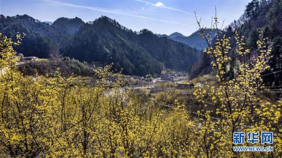 （環(huán)境）（1）巍峨秦嶺 生態(tài)屏障