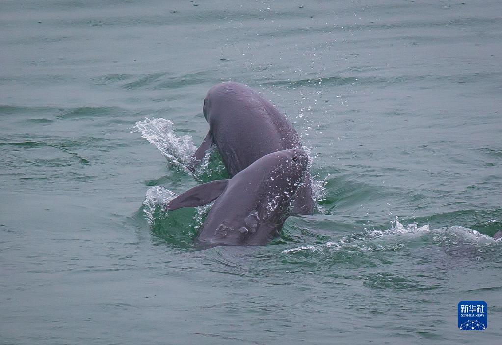 點(diǎn)擊進(jìn)入下一頁(yè)