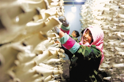 10640112_875856 (1).jpg