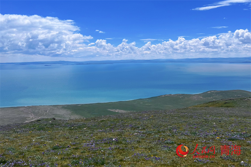 遠眺鄂陵湖。人民網(wǎng)記者 甘海瓊攝