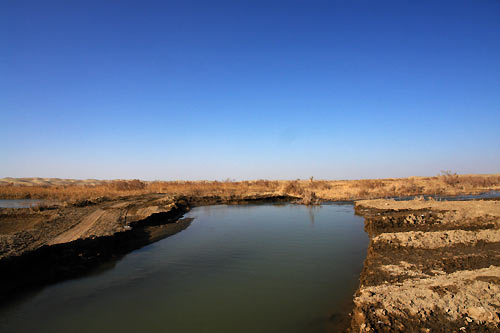 點擊查看源網頁