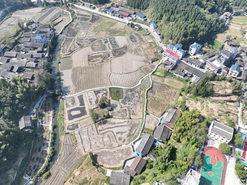 地湖村航拍圖。
