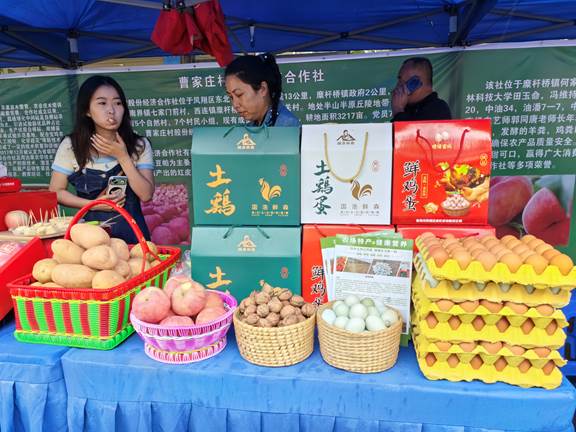 圖示, 示意圖

中度可信度描述已自動生成:ver1