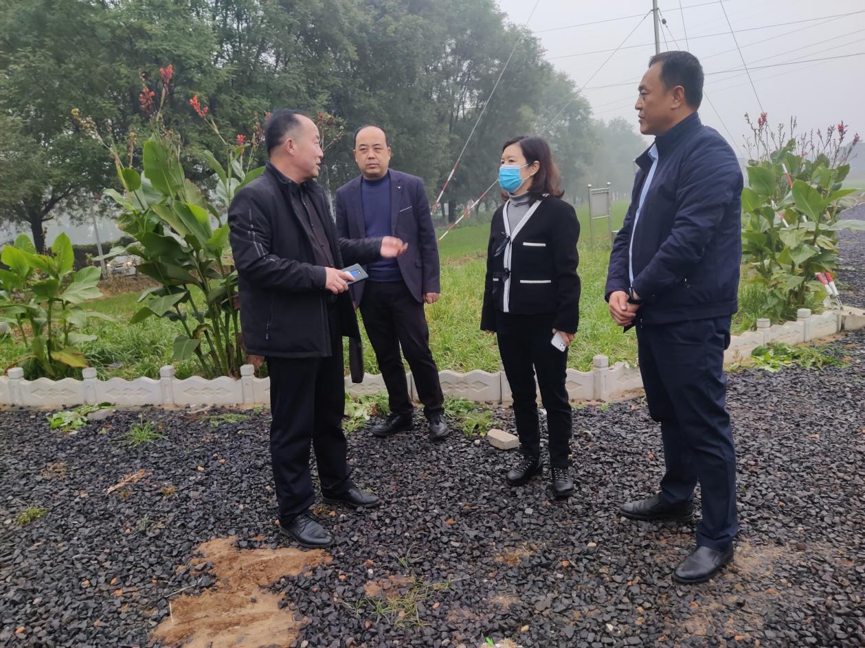 調(diào)研指導(dǎo)長青鎮(zhèn)石頭坡村大蔥產(chǎn)業(yè)
