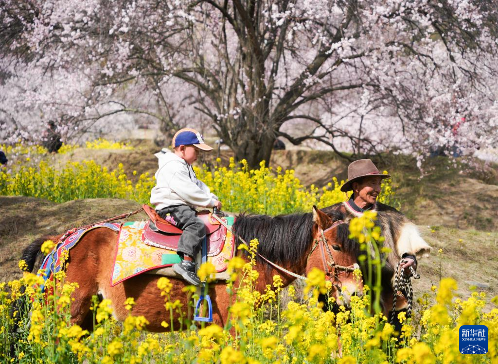 3月29日,游客在林芝市巴宜區(qū)嘎拉村賞花游玩。新華社記者 齊芷玥攝 3月29日,游客在林芝市巴宜區(qū)嘎拉村賞花游玩。新華社記者 齊芷玥攝