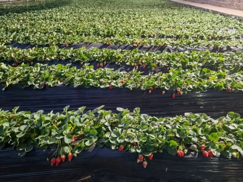 微信圖片_20230413104552