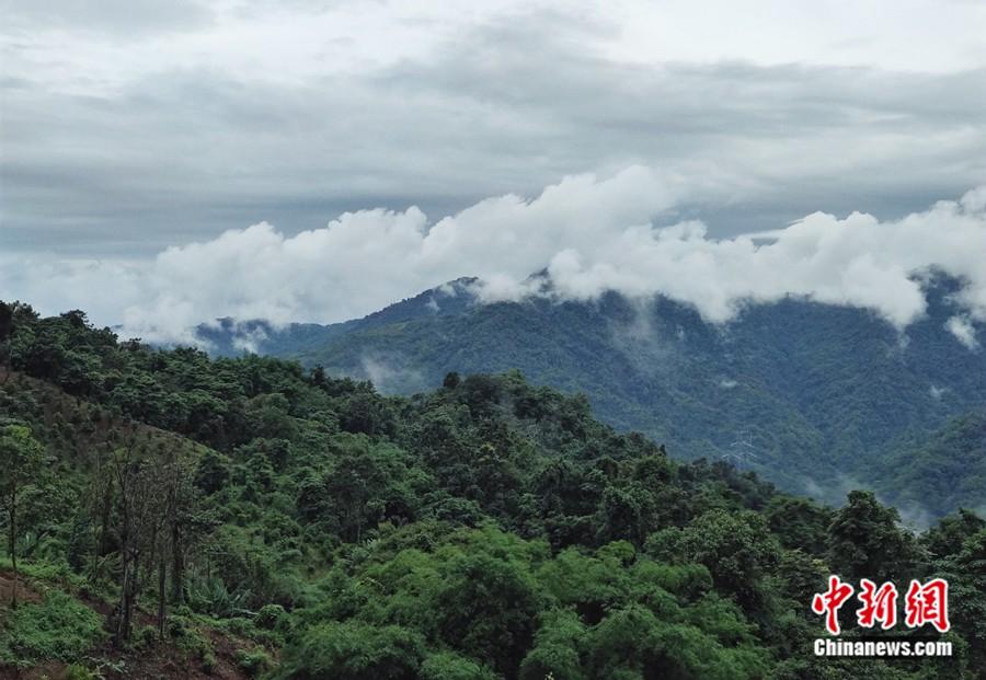 石梯村有著優(yōu)美的風(fēng)光和自然資源，吸引了大批鳥類。<a target='_blank'  >中新網(wǎng)</a>記者 張旭 攝