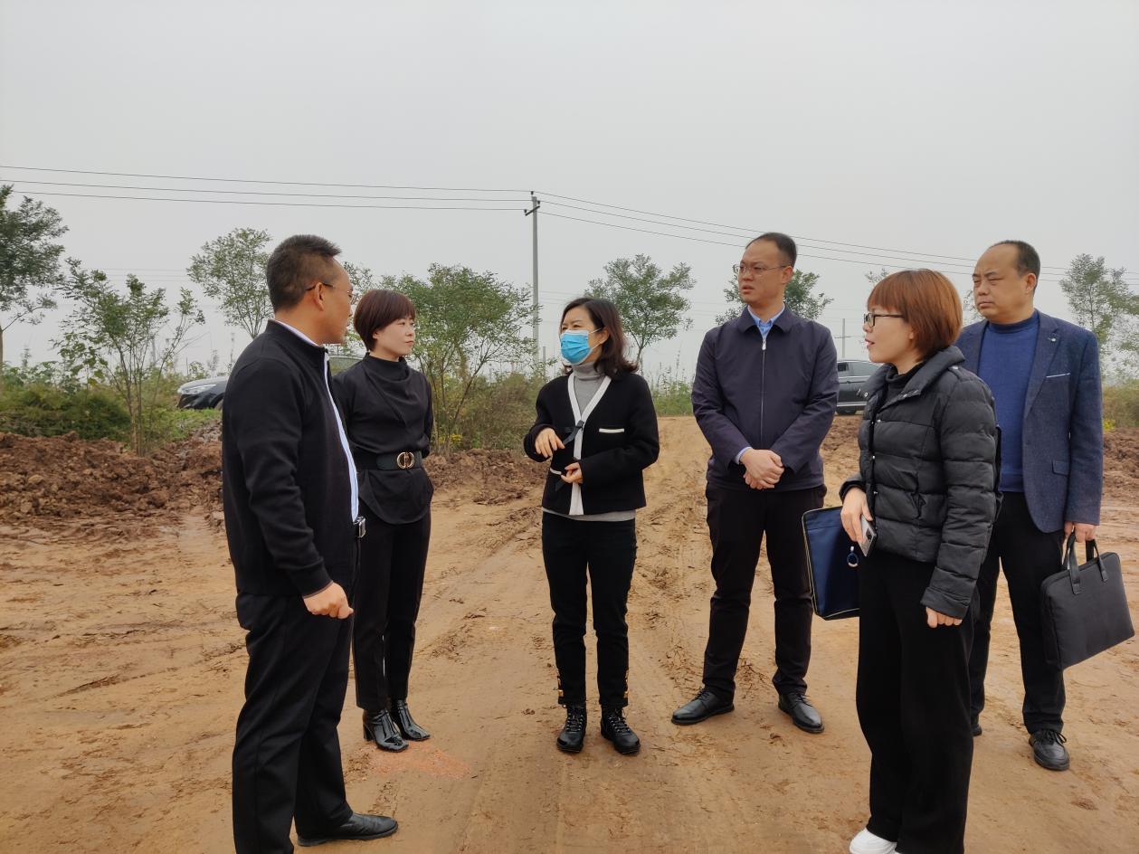查看陳村鎮(zhèn)槐北村“村企聯(lián)姻”萬頭生豬養(yǎng)殖項目