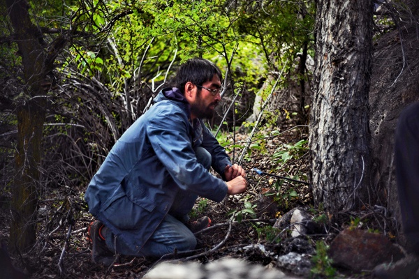 “樹語者”朱海峰：冰川密語，藏在樹木年輪里