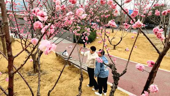 a3051354f4b035cf4e097bec4a46159