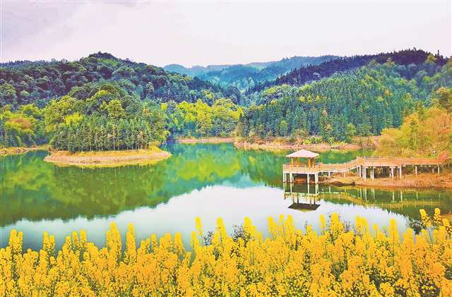 四川省瀘縣道林溝景區(qū)一角。受訪者供圖