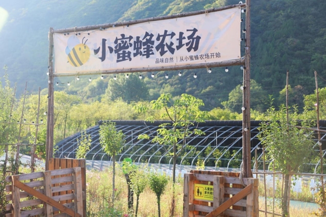 煥新“農(nóng)家院” 開拓“新賽道”——寶雞市渭濱區(qū)推動鄉(xiāng)村文旅融合發(fā)展 煥新“農(nóng)家院” 開拓“新賽道”——寶雞市渭濱區(qū)推動鄉(xiāng)村文旅融合發(fā)展