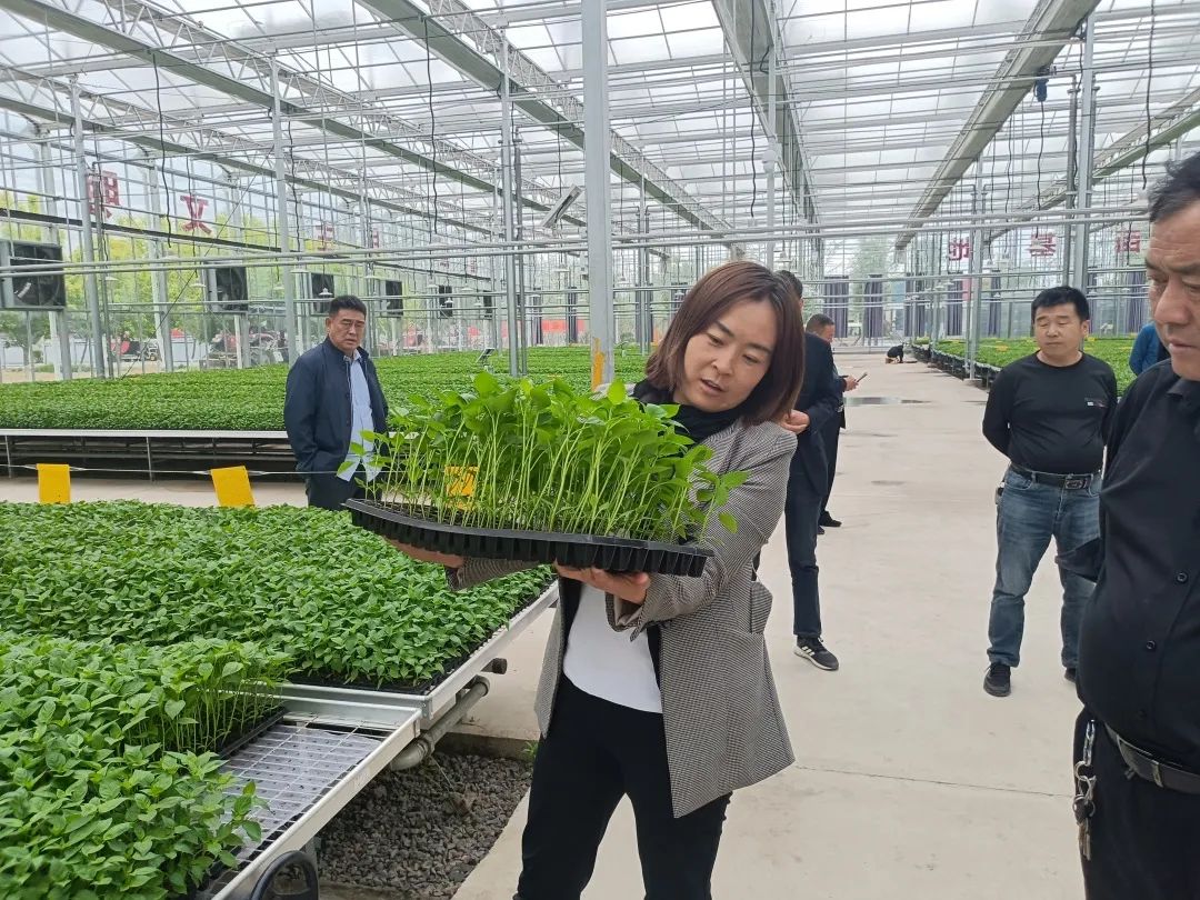 0cc2fea289196498b20814ec63ddcfd1.jpeg 圖片