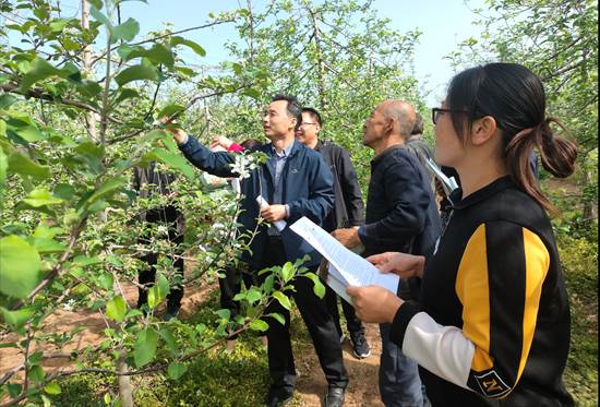 3350075e376b35ffd1eba1b8a27b20b